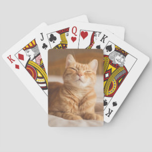 Getty Images Sleepy Cat Playing Cards