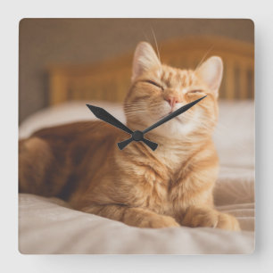 Getty Images Sleepy Cat Square Wall Clock