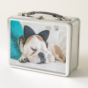 Getty Images   Sleepy Dog with Cat Headband Metal Lunch Box