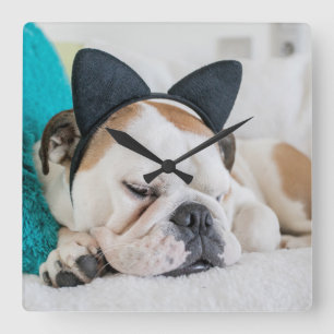Getty Images   Sleepy Dog with Cat Headband Square Wall Clock