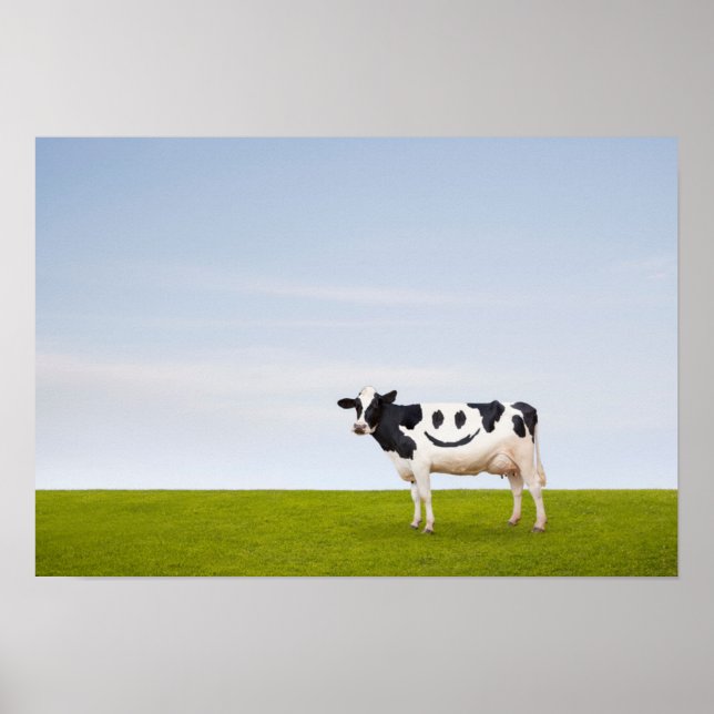 Getty Images | Smiley Face Cow Poster (Front)