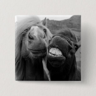 Getty Images   Smiling Horses 15 Cm Square Badge