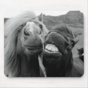 Getty Images   Smiling Horses Mouse Mat