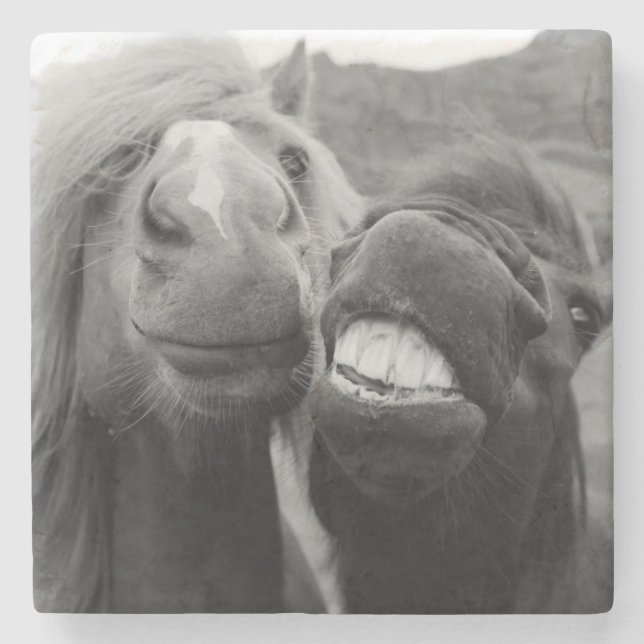 Getty Images | Smiling Horses Stone Coaster (Front)