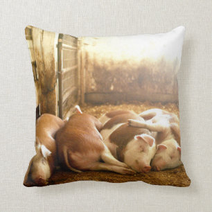 Getty Images   Snuggling Pigs Cushion
