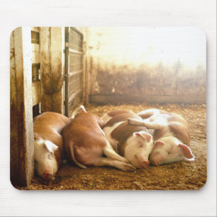 Getty Images Snuggling Pigs Mouse Mat