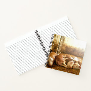 Getty Images Snuggling Pigs Notebook