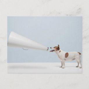 Getty Images   Speaking Dog Postcard