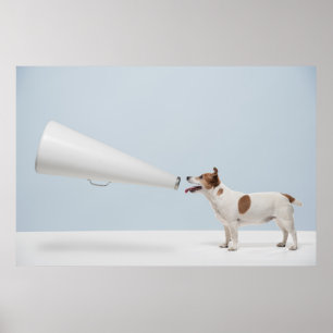 Getty Images   Speaking Dog Poster