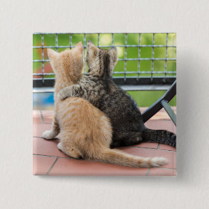 Getty Images Two Kittens on a Balcony 15 Cm Square Badge