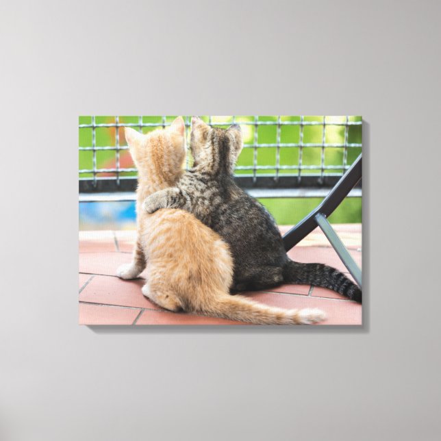 Getty Images | Two Kittens on a Balcony Canvas Print (Front)