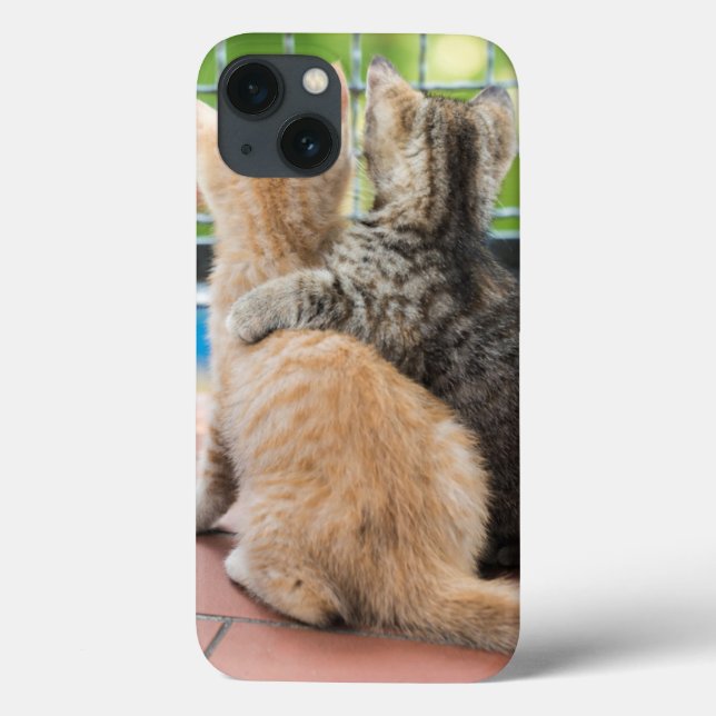 Getty Images | Two Kittens on a Balcony Case-Mate iPhone Case (Back)