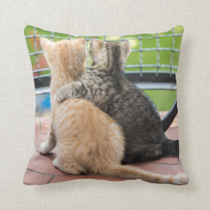 Getty Images Two Kittens on a Balcony Cushion