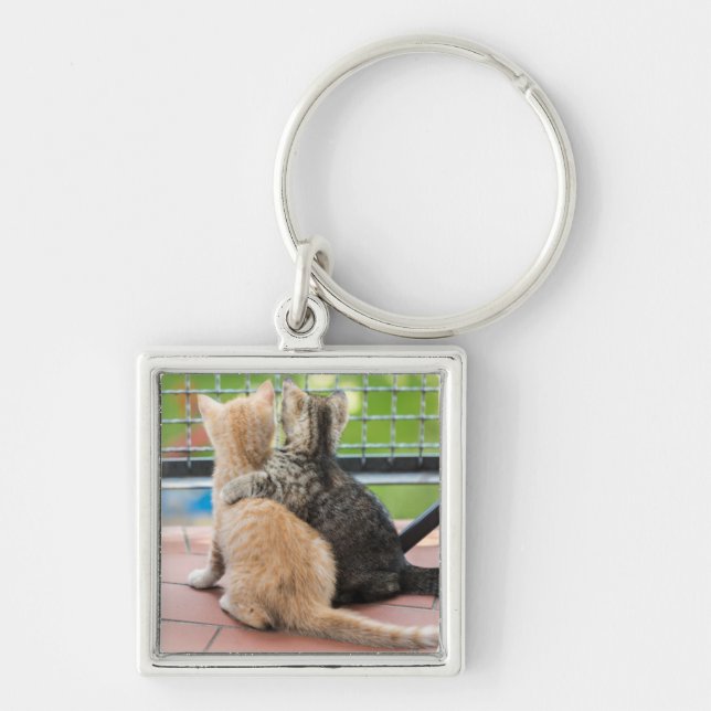 Getty Images | Two Kittens on a Balcony Key Ring (Front)
