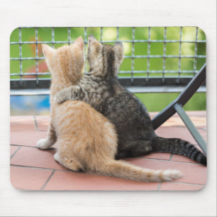 Getty Images   Two Kittens on a Balcony Mouse Mat