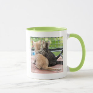 Getty Images Two Kittens on a Balcony Mug
