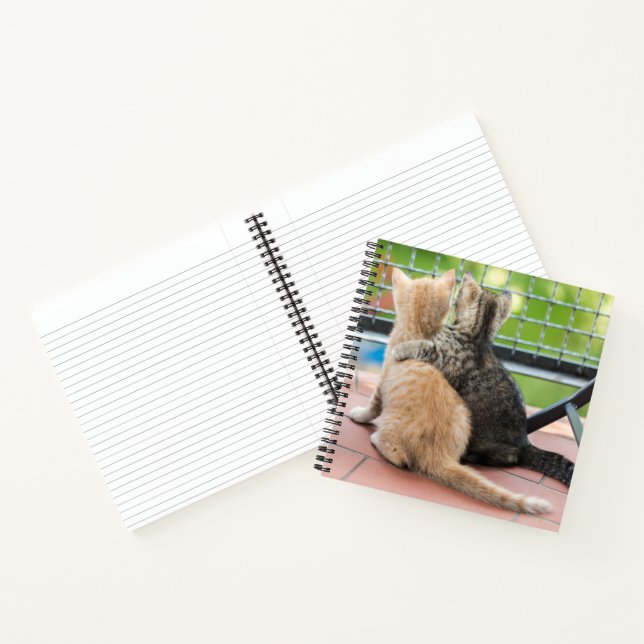 Getty Images | Two Kittens on a Balcony Notebook (Inside)