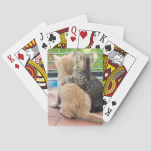 Getty Images Two Kittens on a Balcony Playing Cards