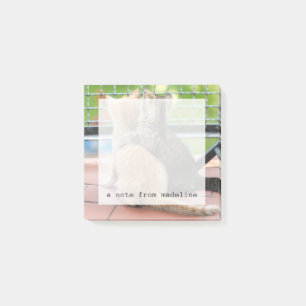 Getty Images   Two Kittens on a Balcony Post-it Notes