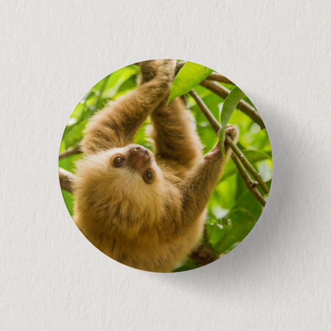 Getty Images | Upside Down Sloth 3 Cm Round Badge (Front)