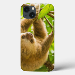 Getty Images Upside Down Sloth iPhone 13 Case