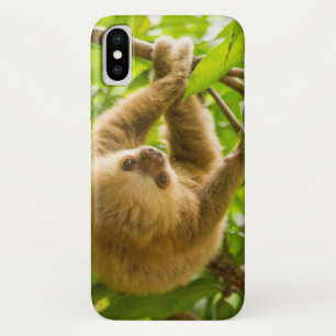 Getty Images Upside Down Sloth iPhone X Case