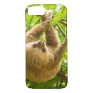 Getty Images   Upside Down Sloth iPhone 8/7 Case