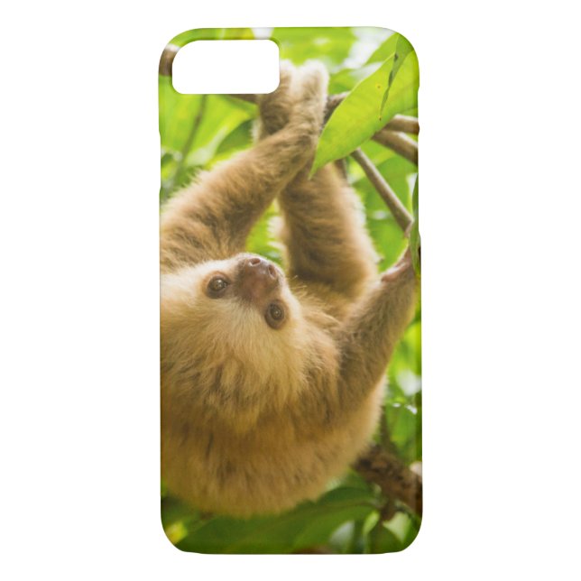 Getty Images | Upside Down Sloth Case-Mate iPhone Case (Back)