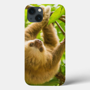 Getty Images Upside Down Sloth iPhone 13 Case