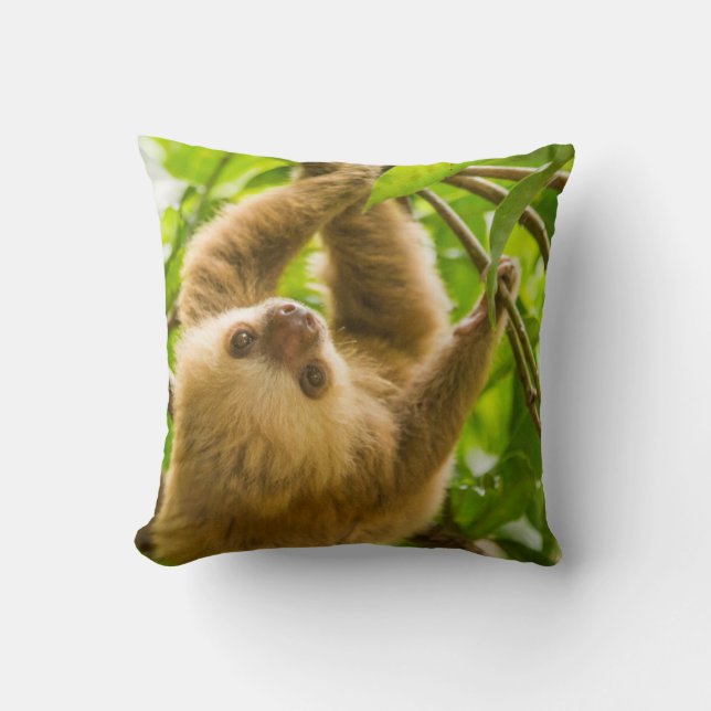 Getty Images | Upside Down Sloth Cushion (Front)