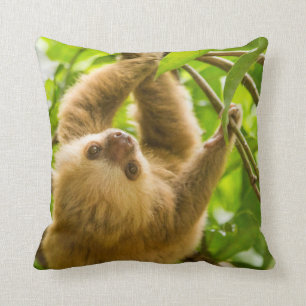 Getty Images Upside Down Sloth Cushion