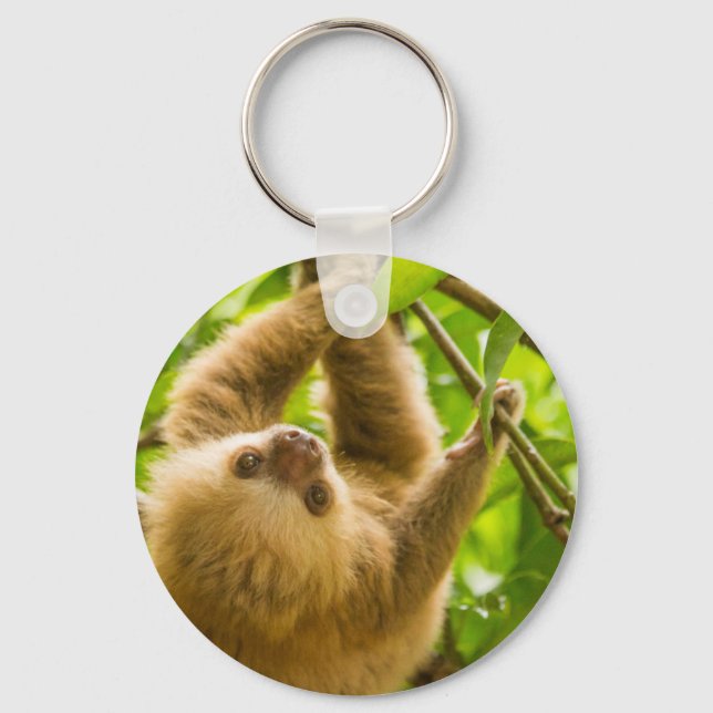 Getty Images | Upside Down Sloth Key Ring (Front)