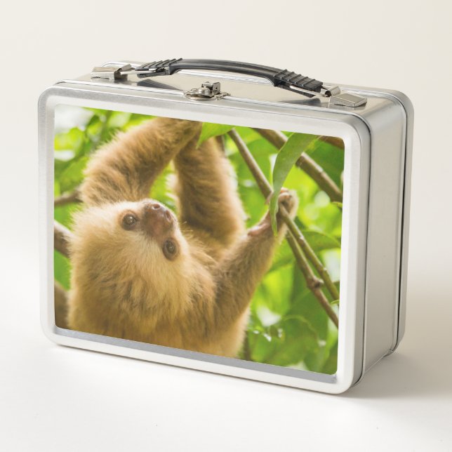 Getty Images | Upside Down Sloth Metal Lunch Box (Front)