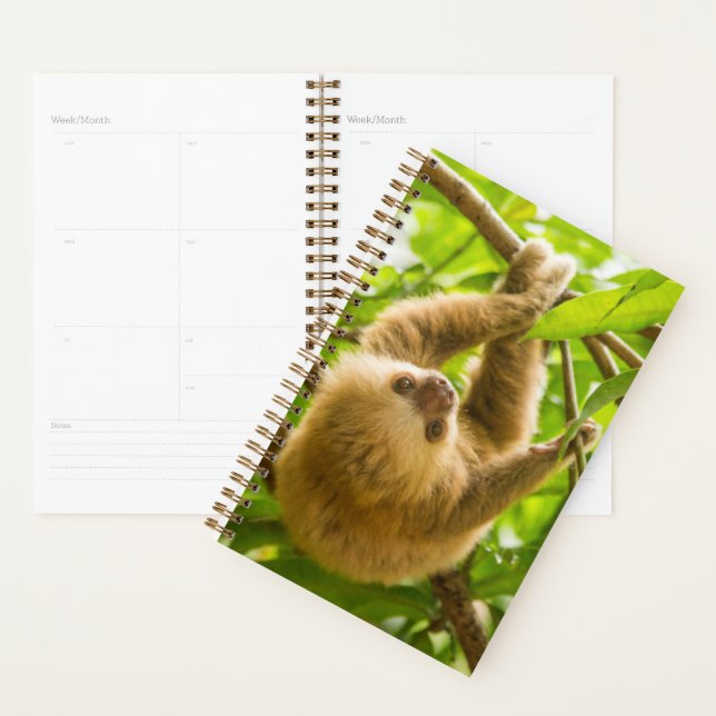 Getty Images | Upside Down Sloth Planner (Display)