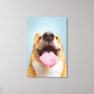 Getty Images   Very Happy Corgi Canvas Print