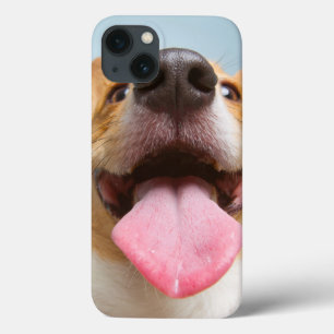 Getty Images Very Happy Corgi iPhone 13 Case