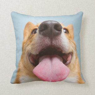 Getty Images   Very Happy Corgi Cushion