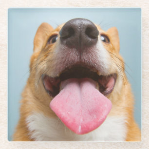Getty Images Very Happy Corgi Glass Coaster