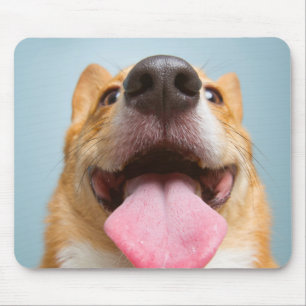Getty Images Very Happy Corgi Mouse Mat