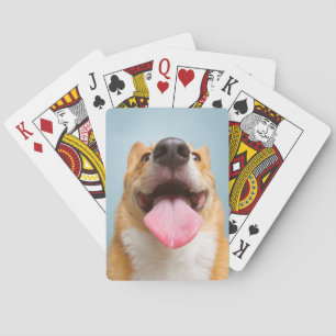 Getty Images Very Happy Corgi Playing Cards