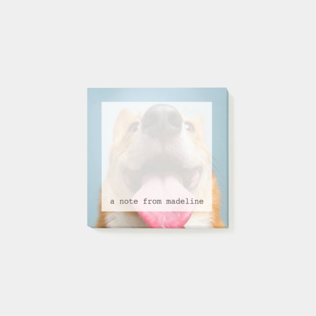 Getty Images | Very Happy Corgi Post-it Notes (Front)