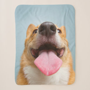 Getty Images Very Happy Corgi Sherpa Blanket