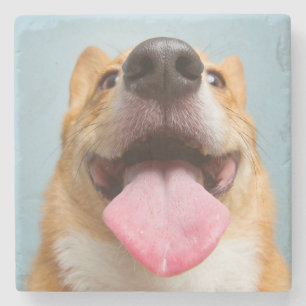 Getty Images Very Happy Corgi Stone Coaster