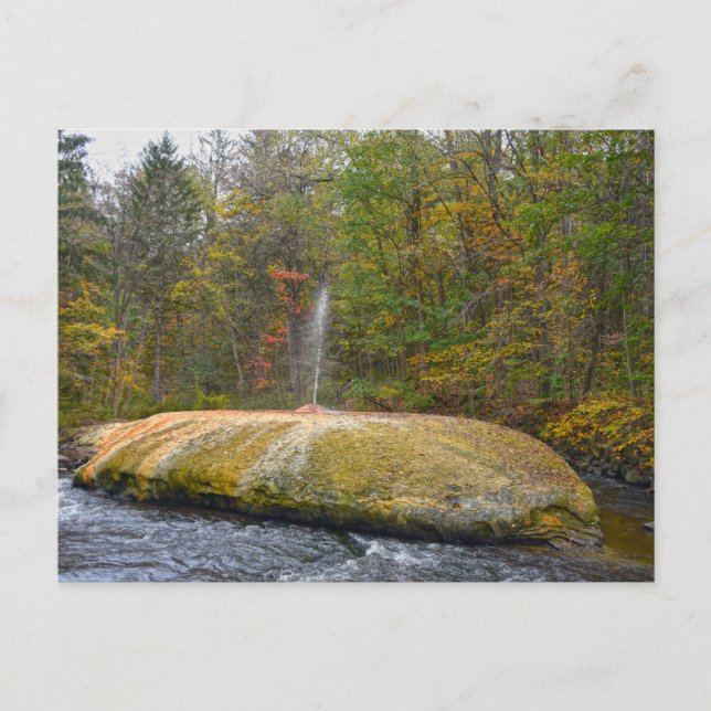 Geyser Island Spouter, Saratoga Springs, New York Postcard (Front)