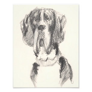 Gezeichnete Dogge Photo Print