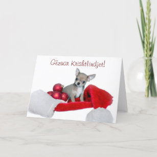 Gëzuar Krishtlindjet Christmas Chihuahua dog Holiday Card