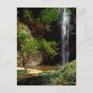 Ghana: Wli Falls, a.k.a. Agumatsa Falls (Volta Postcard