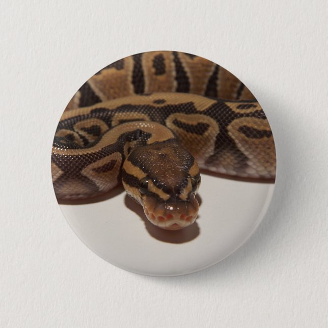 Ghost Ball Python Button (Front)
