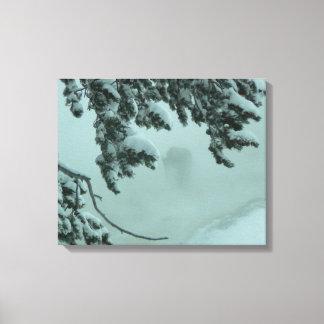 Ghost Buffalo Canvas Print