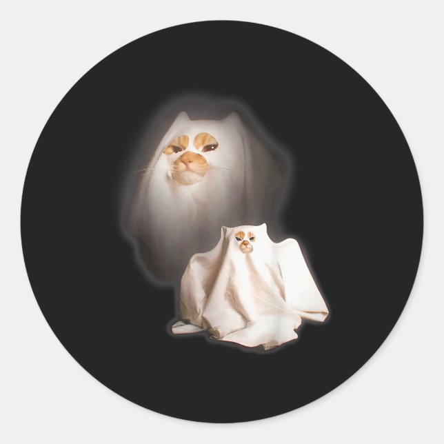 Ghost Cat Meme Funny Halloween Men Women Kids  Classic Round Sticker (Front)